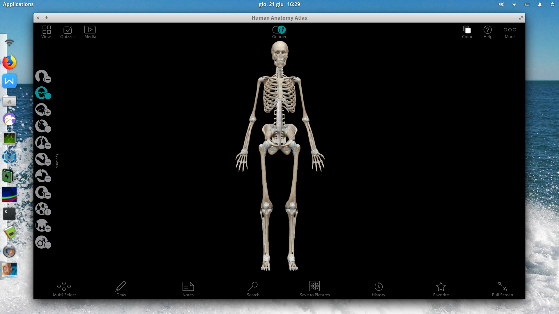 for mac osx Human Anatomy Atlas 7.4.01
